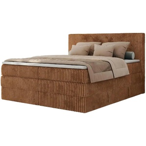 Boxspringbett mit Bettkasten Tiliano King ¦ orange ¦ Maße (cm): B: 206 H: 119