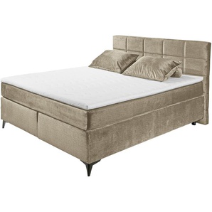 Boxspringbett  Navarra ¦ grau ¦ Maße (cm): B: 183 H: 113