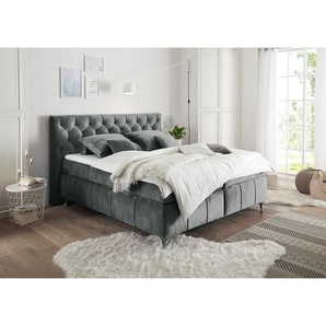 Boxspringbett Palm Hill 180 x 200cm Microfaser Grau/Grau