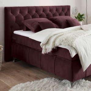 Boxspringbett Pembroke 8, aubergine, 180 × 200 cm