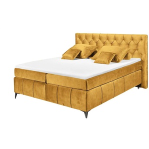 Boxspringbett Pembroke | gelb | 200 cm | 121 cm |