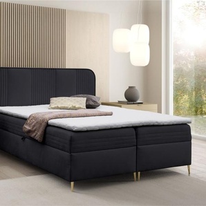 Boxspringbett Schlafzimmerbett ALIZE 120x200cm Stoff Fresh Schwarz