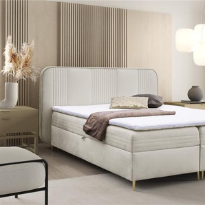 Boxspringbett Schlafzimmerbett ALIZE 160x200cm Stoff Fresh Creme
