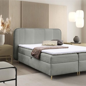 Boxspringbett Schlafzimmerbett ALIZE 200x200cm Stoff Fresh Grau