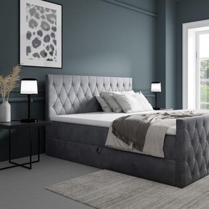 Boxspringbett Schlafzimmerbett ASHER 200x220cm in Stoff Fresh Grau