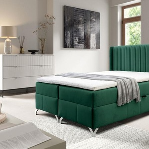 Boxspringbett Schlafzimmerbett DAMIEN 160x200cm Stoff Salvador Flaschengrün
