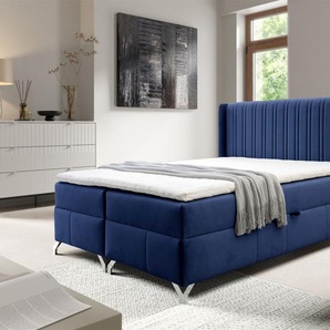 Boxspringbett Schlafzimmerbett DAMIEN 200x200cm Stoff Salvador Blau