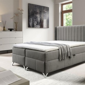 Boxspringbett Schlafzimmerbett DAMIEN 200x200cm Stoff Salvador Dunkelgrau