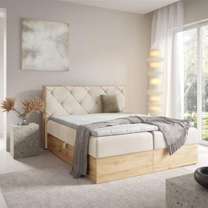 Boxspringbett Schlafzimmerbett HELIOS 200x200cm in Stoff Rouge Creme