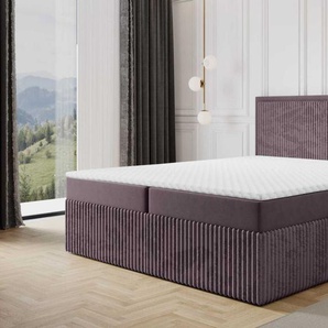 Boxspringbett Schlafzimmerbett HIDIS 160x220cm Stoff Vito Pflaume