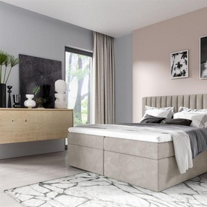 Boxspringbett Schlafzimmerbett LINNEA 160x220cm Stoff Beige inkl. Bettkasten