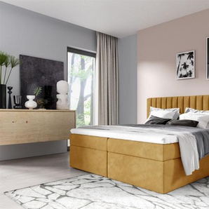 Boxspringbett Schlafzimmerbett LINNEA 180x220cm Stoff Senf inkl. Bettkasten