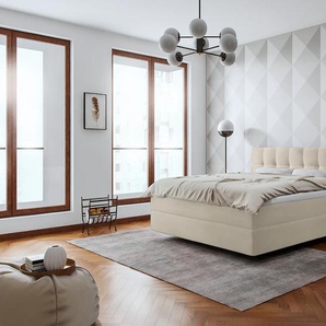 Boxspringbett SCHLARAFFIA Aida Komplettbetten Gr. Kunstleder LEATHERLOOK, Liegefläche B/L: 140 cm x 200 cm, H2, 7-Zonen-Tonnentaschen-Federkernmatratze, weiß (ivory) Boxspringbetten ohne Bettkasten Inklusive GELTEX Next Topper, Fuß in Schwebeoptik,