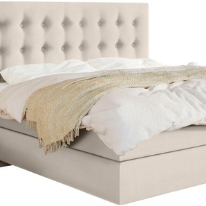 Boxspringbett SCHLARAFFIA Everton Komplettbetten Gr. Material, Liegefläche B/L: 160 cm x 200 cm, H2 + H3, 7-Zonen-Tonnentaschen-Federkernmatratze, beige Boxspringbetten ohne Bettkasten inklusive GELTEX Next Topper, Fuß in Schwebeoptik