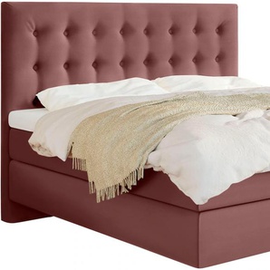 Boxspringbett SCHLARAFFIA Everton Komplettbetten Gr. Webstoff FUTURE, Liegefläche B/L: 180 cm x 200 cm, H2 + H2, 7-Zonen-Tonnentaschen-Federkernmatratze, rosa (blossom) Boxspringbetten ohne Bettkasten inklusive GELTEX Next Topper, Fuß in Schwebeoptik