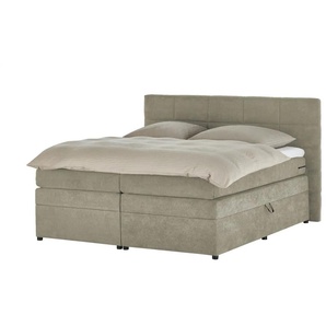 Boxspringbett Tacoma | beige | 204 cm | 124 cm |