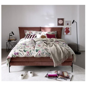 Boxspringbett Vita, altrosa, 180 x 200 cm
