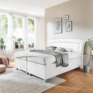 Boxspringbett WESTFALIA SCHLAFKOMFORT Komplettbetten Gr. Liegefläche B/L: 160 cm x 200 cm, H3, 7-Zonen-Kaltschaummatratze, weiß (mikrovelours weiß) Boxspringbetten ohne Bettkasten Komplettbetten in diversen Ausführungen