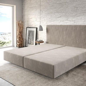 Boxspringgestell Dream-Well Mikrofaser Beige 200x200 cm, Boxspringbetten