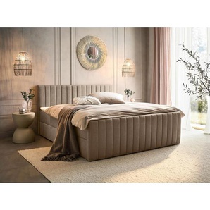 Boxxx Boxbett, Taupe, Textil, H3, Höhe ca. 25 cm, 160x200 cm, Bettkasten, gepolstertes Kopfteil, Topper durchgehend, in verschiedenen Größen