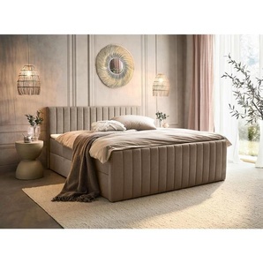 Boxxx Boxbett, Taupe, Textil, H3, Höhe ca. 25 cm, 160x200 cm, Matratze geteilt, in verschiedenen Größen erhältlich, Topper durchgehend, gepolstertes