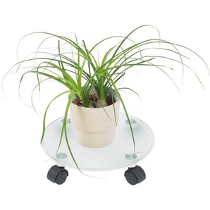 Boxxx Pflanzenroller, Glas, 30x7.5x30 cm, Dekoration, Blumen & Zubehör, Übertöpfe