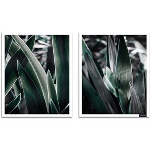 Bruno Banani Bild mit Rahmen Blätter - Gerahmter Digitaldruck - Wandbild, Blätter (1 St), 2x 30x40 cm - Holzrahmen - Dekoration - Weißer Rahmen