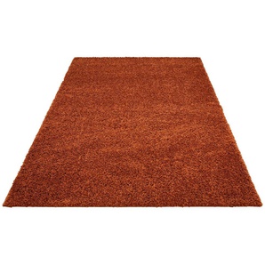Bruno Banani Hochflor-Teppich Shaggy Soft, rechteckig, Höhe: 30 mm, gewebt, Uni Farben, besonders weich und kuschelig, Kundenliebling