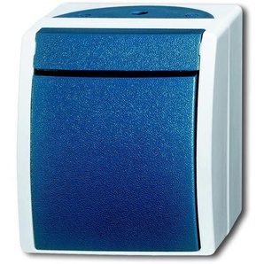 Busch-Jaeger Aufputz Taster Ocean, Feuchtraum, 2621 W-53 GLO775020332