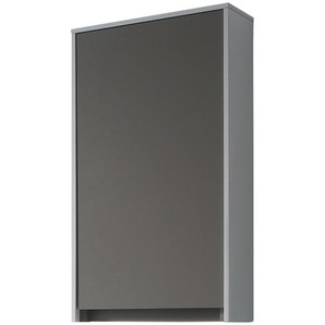 calmo Wandschrank   Stilaro ¦ grau ¦ Maße (cm): B: 37 H: 71 T: 17.0
