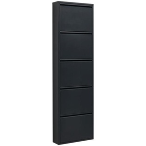 Carryhome Schuhkipper, Anthrazit, Metall, 50x169.5x15 cm, Typenauswahl, Garderobe, Schuhaufbewahrung, Schuhkipper