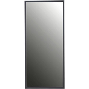 Carryhome Wandspiegel, Schwarz, Glas, rechteckig, 50x110x1.93 cm, Spiegel, Wandspiegel