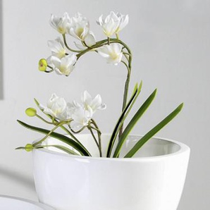 Casablanca Vase Primero weiß Sockel mit Platindekor