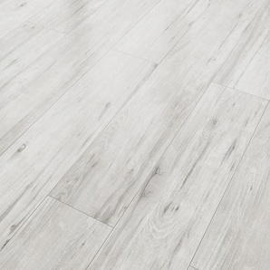 Classen Laminat 7 mm 4V 128,6 x 19,4 cm 7 mm Eiche grau rustikal GLO780403034