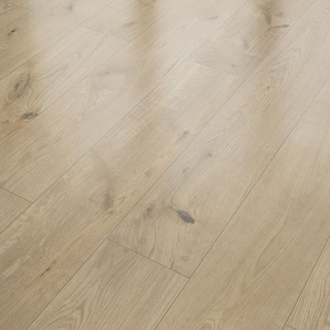 Classen Laminat 7 mm 4V 128,6 x 19,4 cm 7 mm Eiche natur gelb GLO780403072