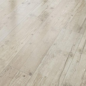Classen Laminat 7 mm 4V 128,6 x 19,4 cm 7 mm Kiefer beige GLO780403073