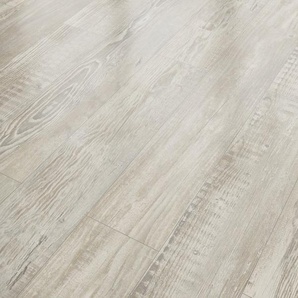 Classen Laminat 7 mm 4V 128,6 x 19,4 cm 7 mm Pinie Altholz LHD GLO780403069