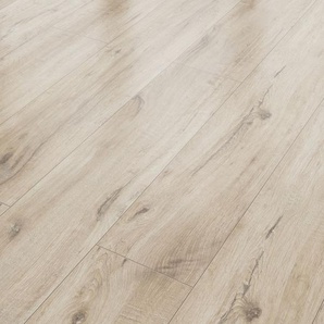 Classen Laminat Edition 7 128,6 x 19,4 cm 7 mm Eiche Amundsen natur GLO780403035