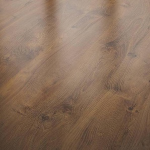 Classen Laminat Edition 7 128,6 x 19,4 cm 7 mm Eiche Avana braun GLO780403042