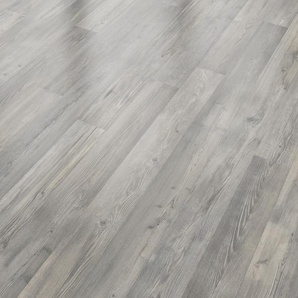 Classen Laminat Edition 7 128,6 x 19,4 cm 7 mm Seekiefer grau 2-Stab GLO780403046