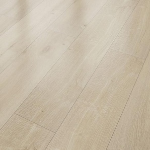 Classen Laminat Edition 7 V 128,6 x 19,4 cm 7 mm Eiche Nebraska GLO780403051