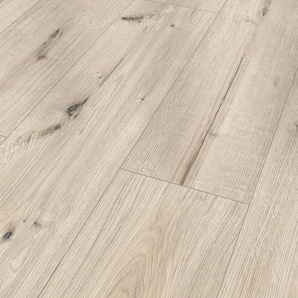 Classen Laminat Megaloc Aquaprotect XL Eiche greige hell LHD GLO780403359