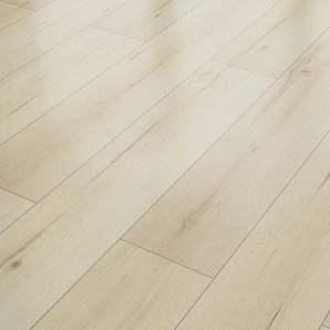 Classen Laminat Noblesse 128,6 x 19,4 cm 7 mm Eiche Cadoc GLO780403136