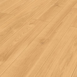 Classen Vinyl Designboden Ceramin Floors Tera Eiche Honig GLO780403875