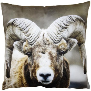 Clayre & Eef Kissenbezug 45x45 cm Braun Polyester Dekokissenbezug
