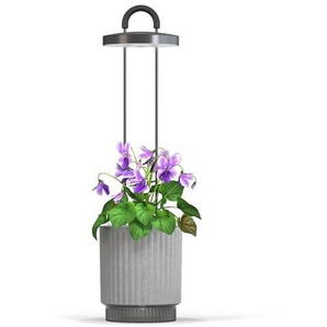 Click  Grow HydroVase Indoor Plant Care Kit with LED Light Self-Watering and Automatic Timer - Gray