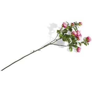 Coco Maison Rose London Branch H110cm