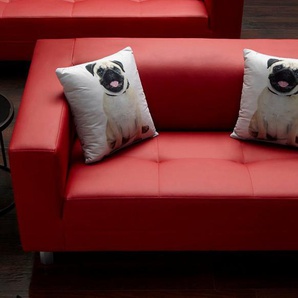 COLLECTION AB 3-Sitzer Clip, mit 2 lustigen Hunde-Zierkissen, frei im Raum stellbar