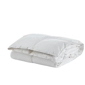 como Kassettendecke winterwarm Arktis - weiß - Materialmix - 155 cm | Möbel Kraft