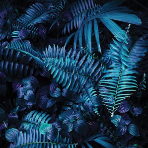 CONSALNET Vliestapete BLÄTTER BLAU Tapeten in verschiedenen Größen Gr. B/L: 1,04 m x 0,7 m, bunt (blau, schwarz, lila) Vliestapeten Tapeten